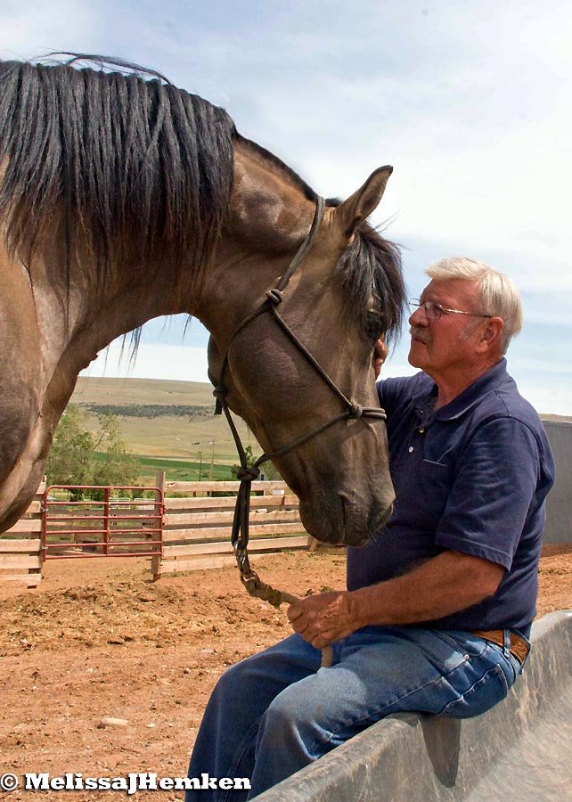 Grullo Morgan stallion TruWest Silver Suede and his owner Harvey Seidel share a moment.