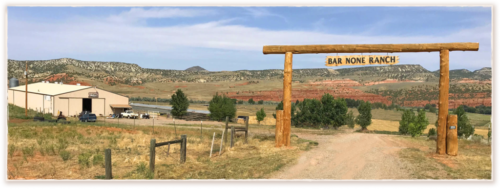 Gate 3 Framed