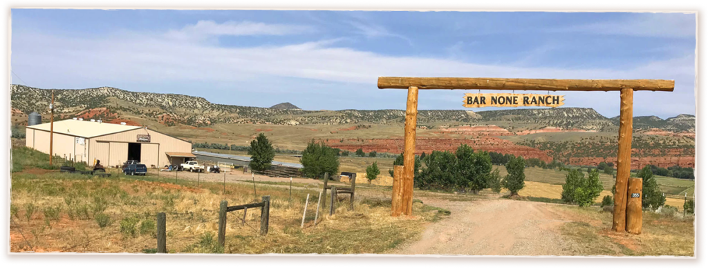 Gate 3 Framed